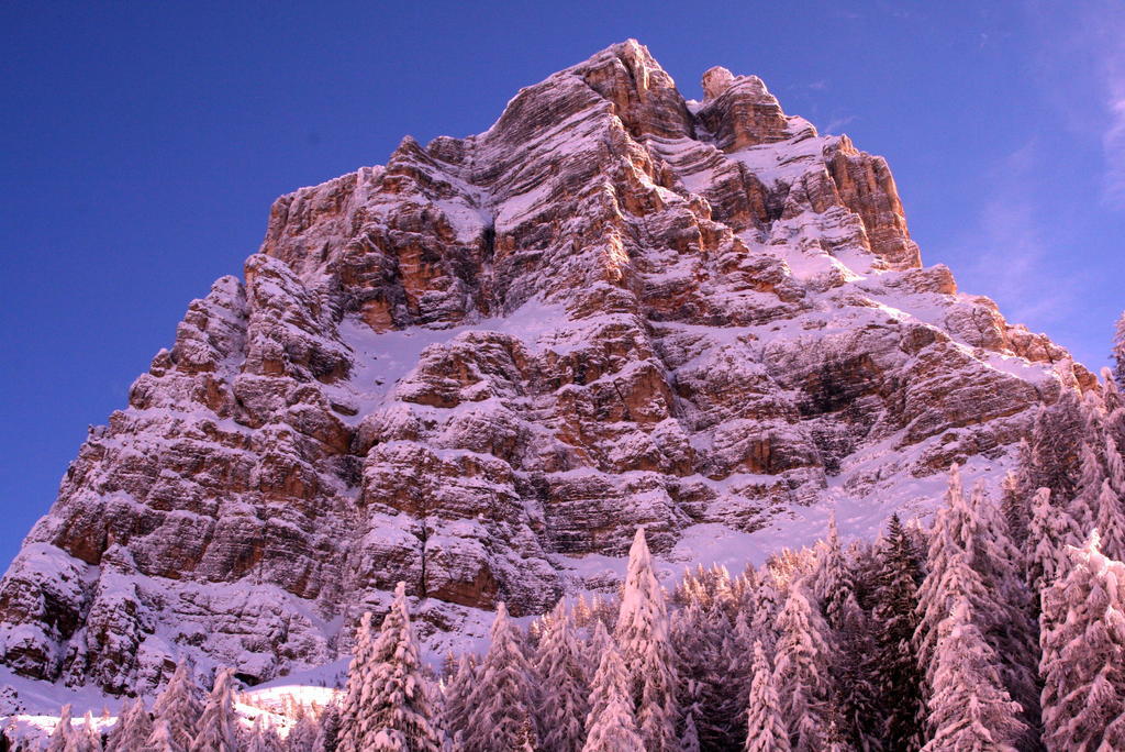 Rifugio Passo Staulanza Hotell Zoldo Alto Eksteriør bilde