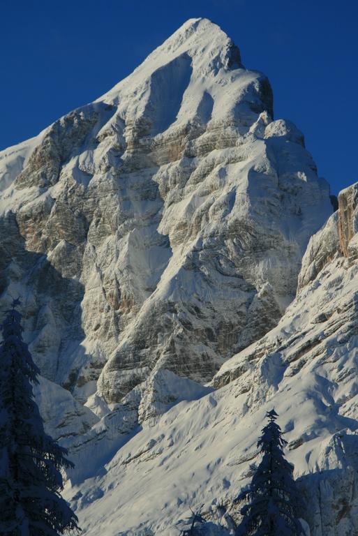 Rifugio Passo Staulanza Hotell Zoldo Alto Eksteriør bilde